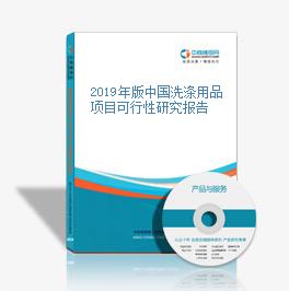 2019年版中国洗涤用品项目可行性研究报告